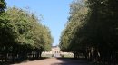 Parc du château de Lunéville